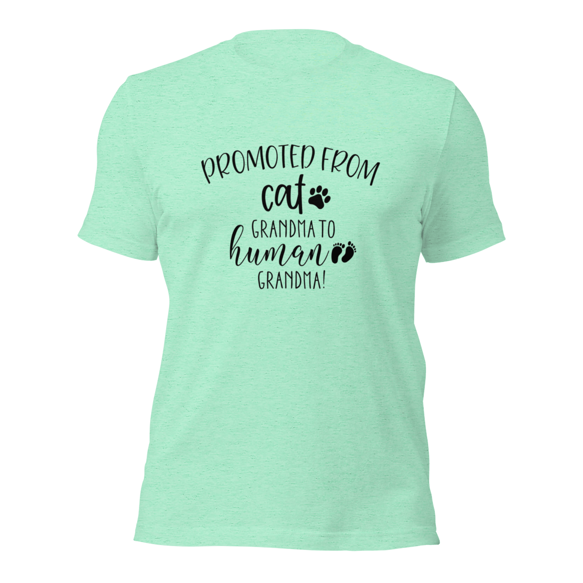 Promoted from Cat Grandma to Human Grandma T-Shirt