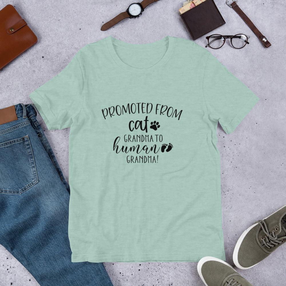 Promoted from Cat Grandma to Human Grandma T-Shirt