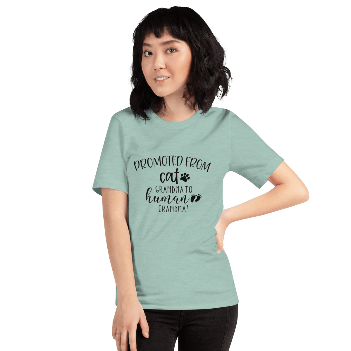 Promoted from Cat Grandma to Human Grandma T-Shirt