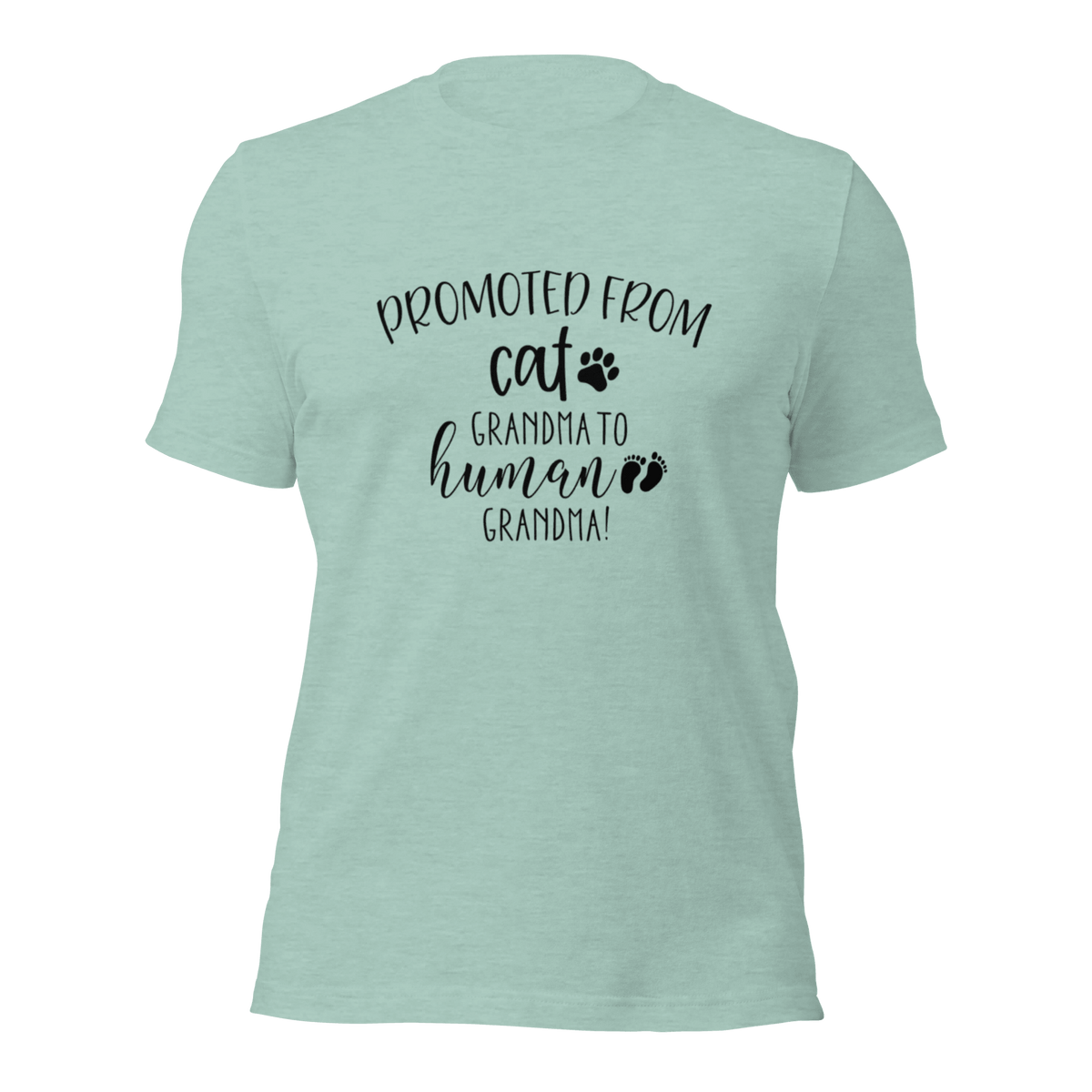 Promoted from Cat Grandma to Human Grandma T-Shirt