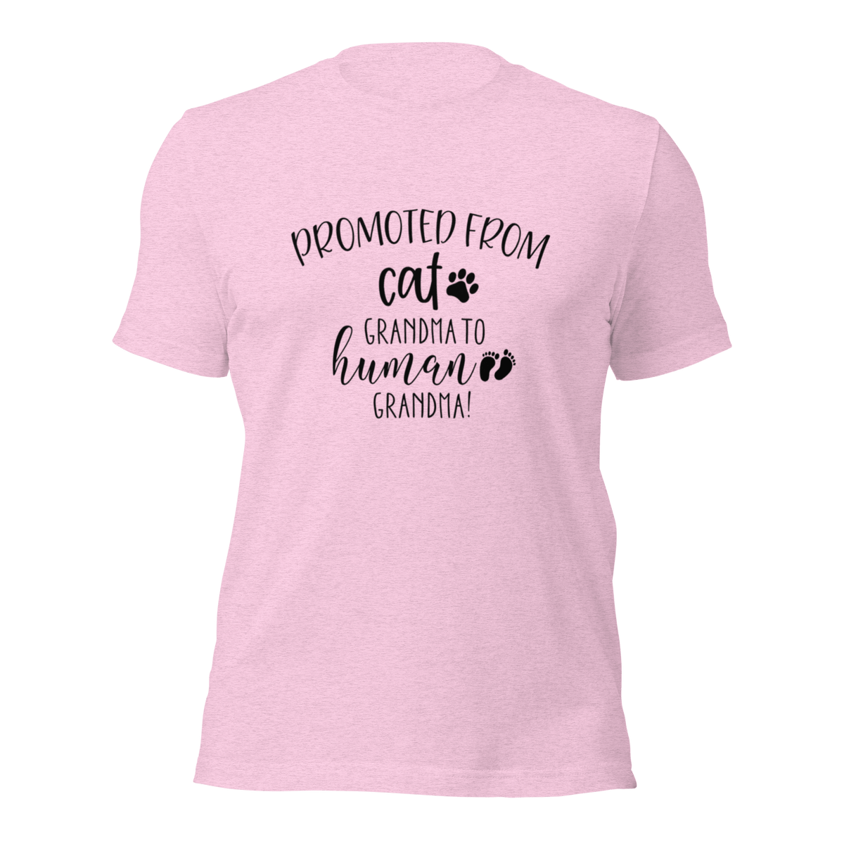 Promoted from Cat Grandma to Human Grandma T-Shirt