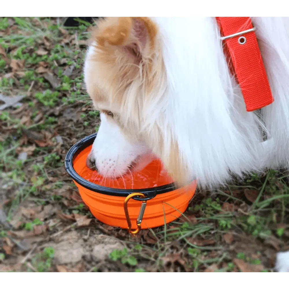 Universal Colorful Collapsible Silicone Dog Food Water Bowl Foldable Cup Dish For Pet Portable Travel Bowl For Dog
