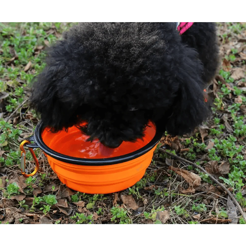 Universal Colorful Collapsible Silicone Dog Food Water Bowl Foldable Cup Dish For Pet Portable Travel Bowl For Dog