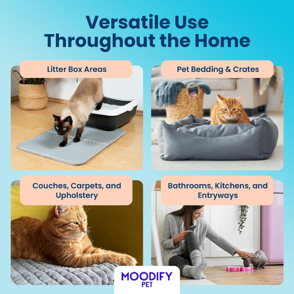 MoodifyPet Cat Litter Box Odor Neutralizer — 3 Pack (Multi-Cat)