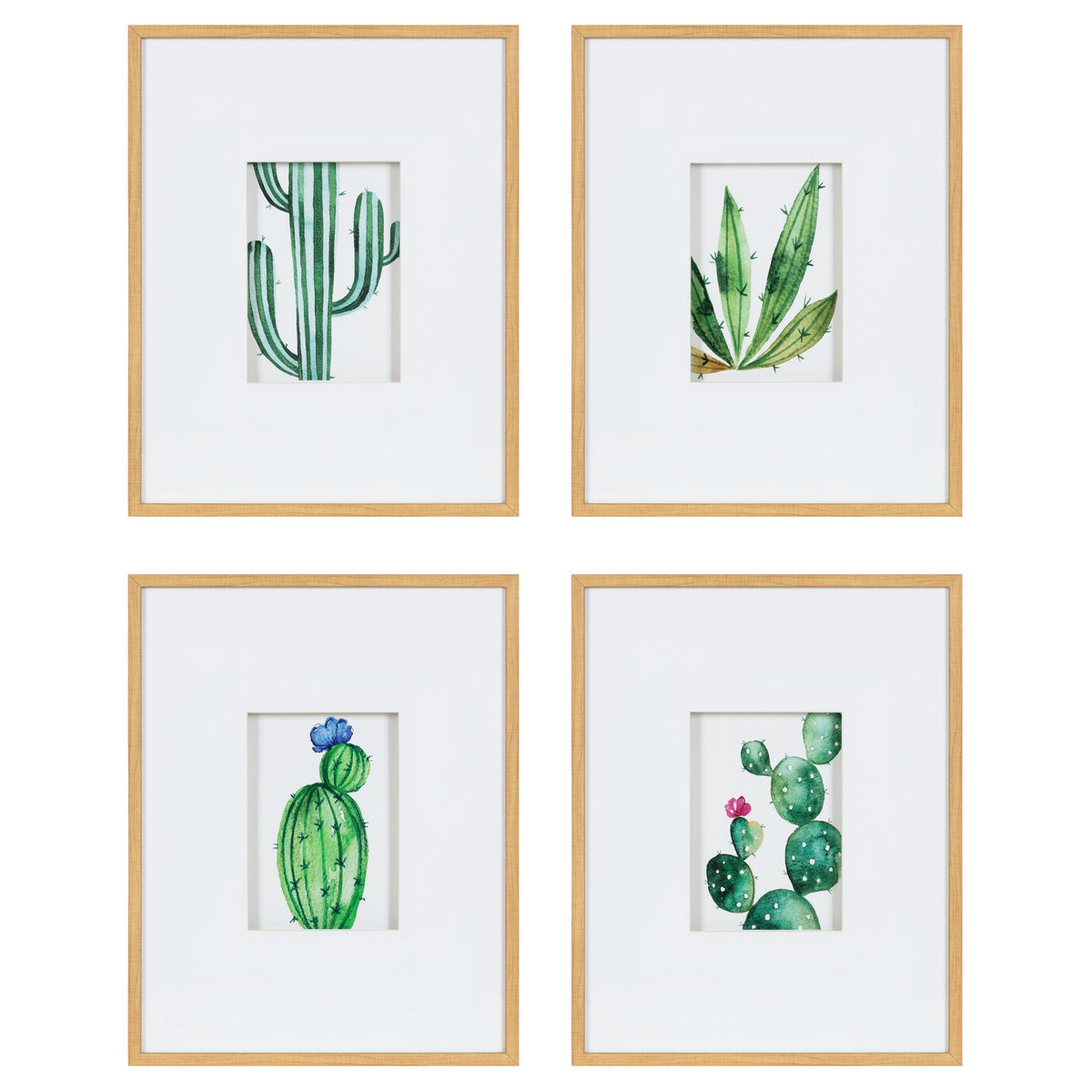 Liev Succulent Framed Print Art Set by Maja Mitrovic