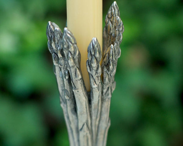 Asparagus Candlestick