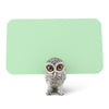 Owl Place Card Holder