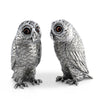 Owl Salt & Pepper Set