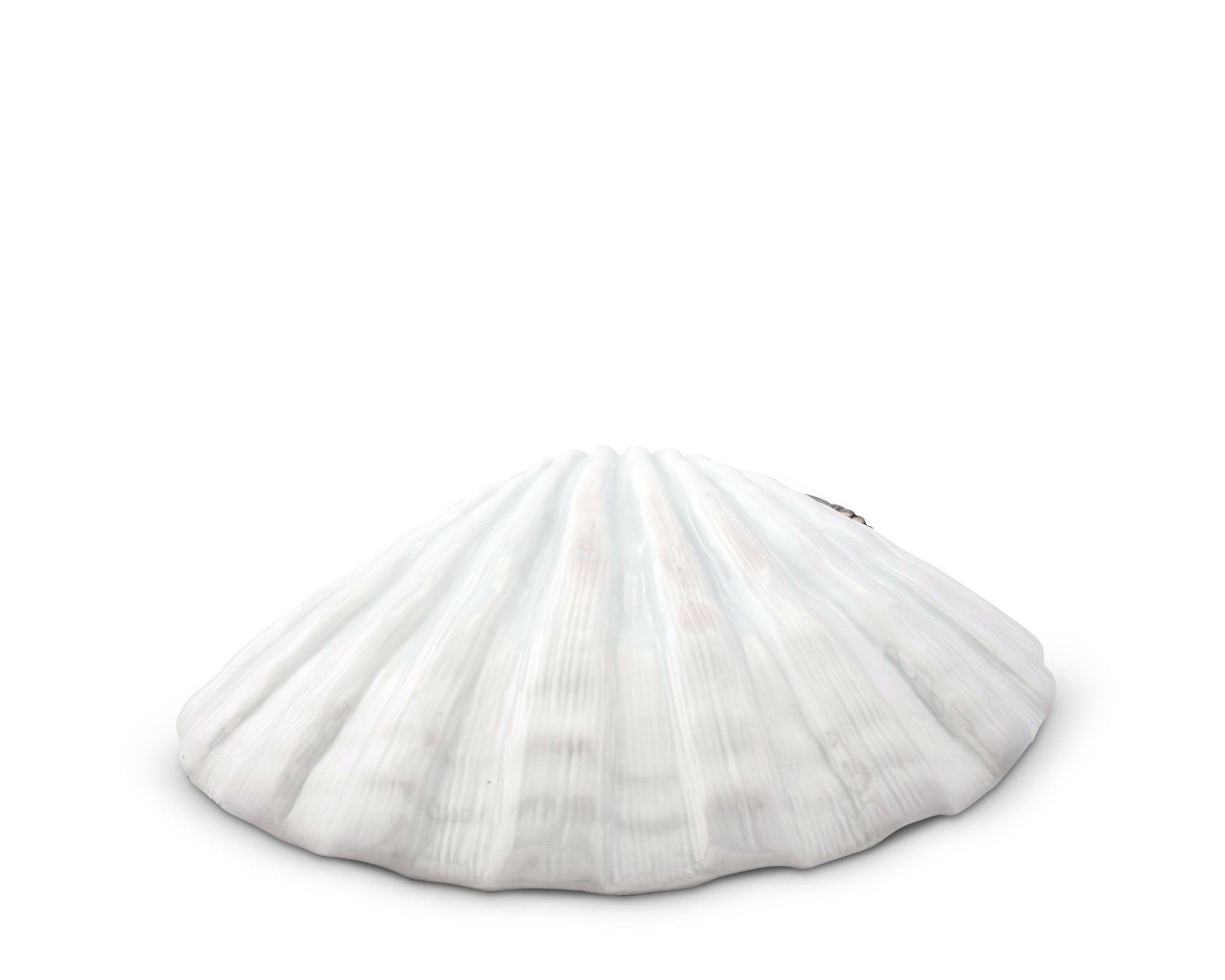Shrimp Porcelain Shell Plate