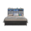 Full RGB LED Bed Frame with RGB LED, USB Charging, Storage Drawers, No Box Spring Needed Black - Vektaya
