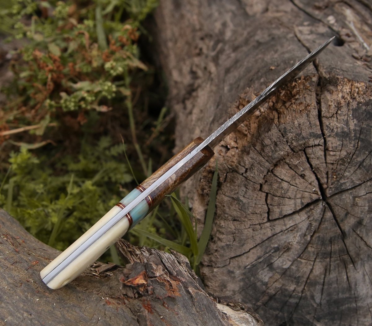 Velar Damascus Gut Hook Hunting Knife with Rose Wood and Bone Handle
