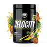 VELOCITY