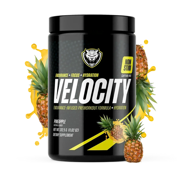VELOCITY