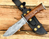 Venomtip Damascus Military Knife with Rosewood Handle