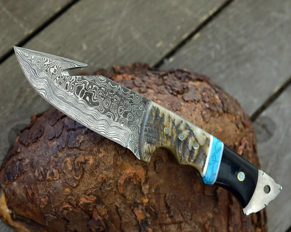 Vertex Damascus Gut Hook Knife with Ram Horn & Turquoise Handle - Gifts for You 'n Me