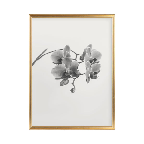 Adlynn Photo Frame Set
