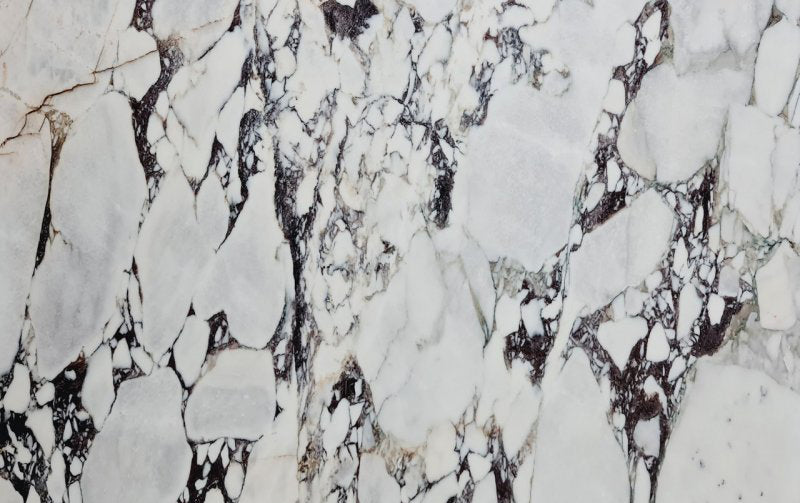 Calacatta Viola White Bookmatching Marble Slabs Polished - Full Truckload