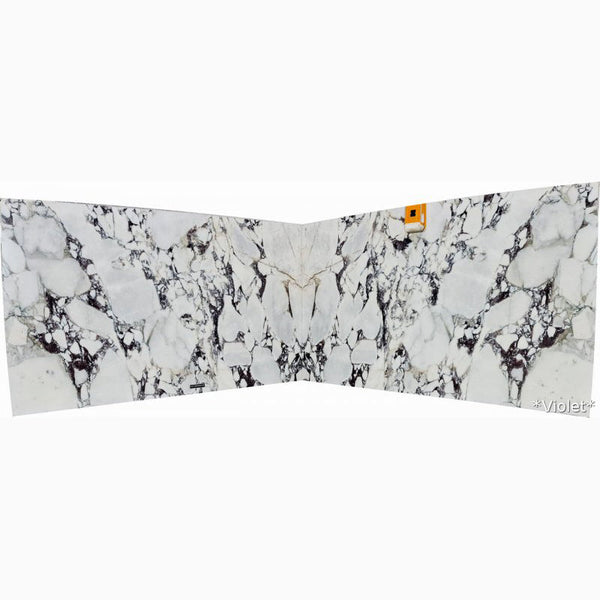Calacatta Viola White Bookmatching Marble Slabs Polished - Full Truckload