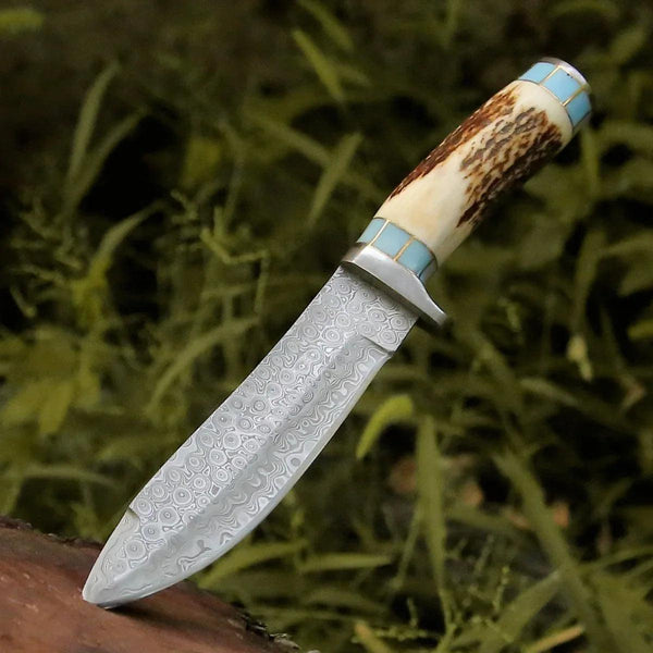 Viral Bull Nose Hunting Knife with Antler & Turquoise Handle - Gifts for You 'n Me