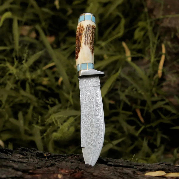 Viral Bull Nose Hunting Knife with Antler & Turquoise Handle - Gifts for You 'n Me