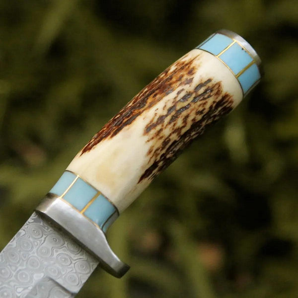 Viral Bull Nose Hunting Knife with Antler & Turquoise Handle - Gifts for You 'n Me