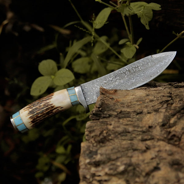 Viral Bull Nose Hunting Knife with Antler & Turquoise Handle