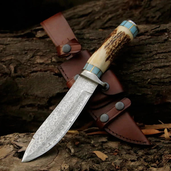 Viral Bull Nose Hunting Knife with Antler & Turquoise Handle - Gifts for You 'n Me
