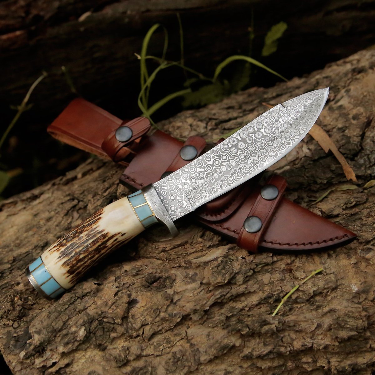 Viral Bull Nose Hunting Knife with Antler & Turquoise Handle
