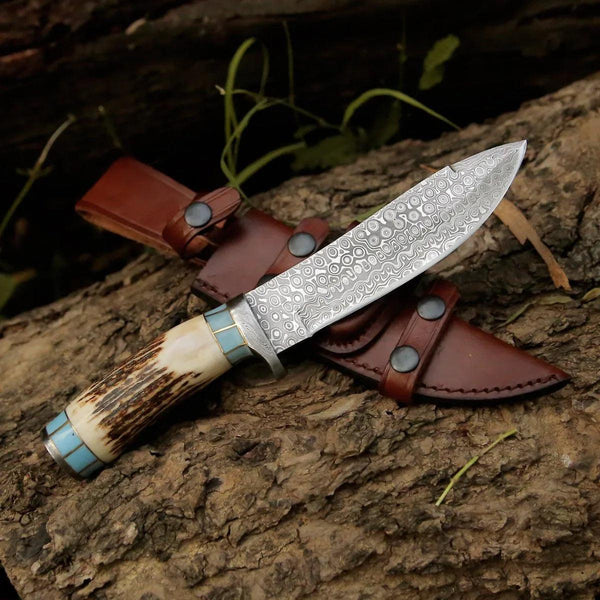 Viral Bull Nose Hunting Knife with Antler & Turquoise Handle - Gifts for You 'n Me
