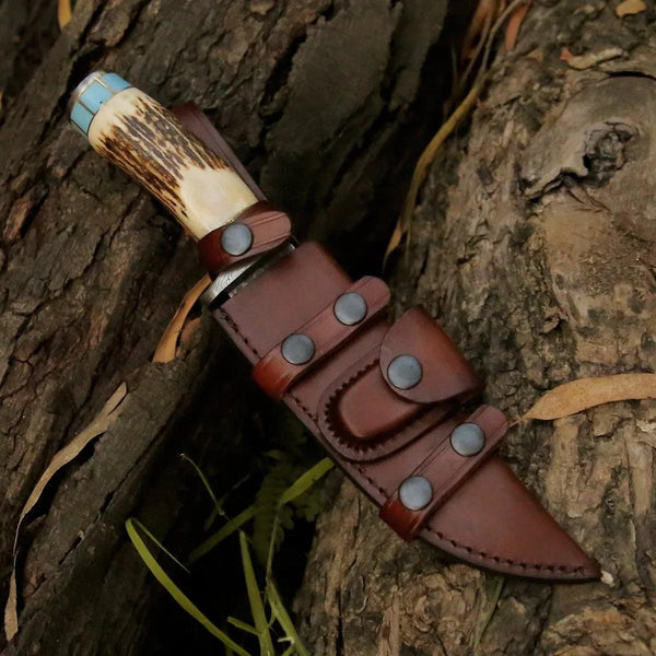 Viral Bull Nose Hunting Knife with Antler & Turquoise Handle - Gifts for You 'n Me