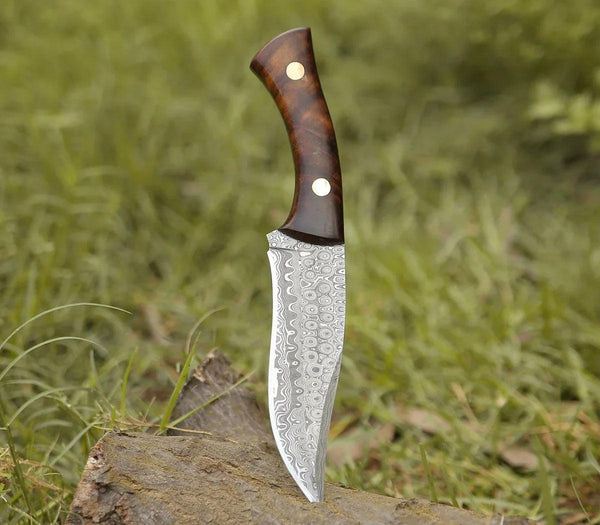 Virtue Damascus Hunting Knife Fixed Blade with Exotic Rose Wood Handle - Gifts for You 'n Me