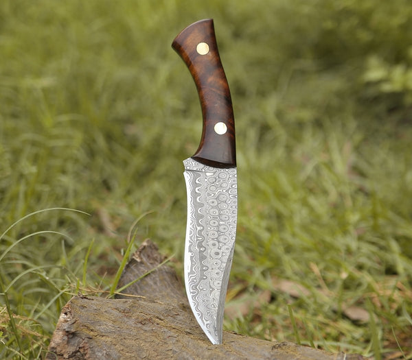 Virtue Damascus Hunting Knife Fixed Blade with Exotic Rose Wood Handle
