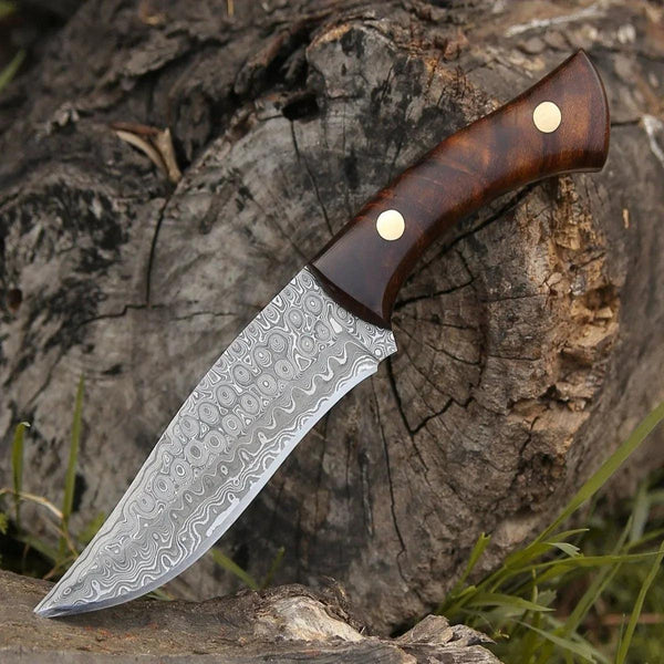 Virtue Damascus Hunting Knife Fixed Blade with Exotic Rose Wood Handle - Gifts for You 'n Me