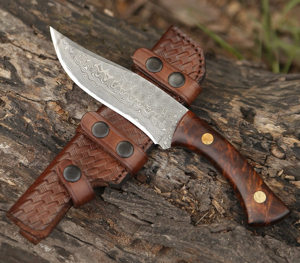 Virtue Damascus Hunting Knife Fixed Blade with Exotic Rose Wood Handle