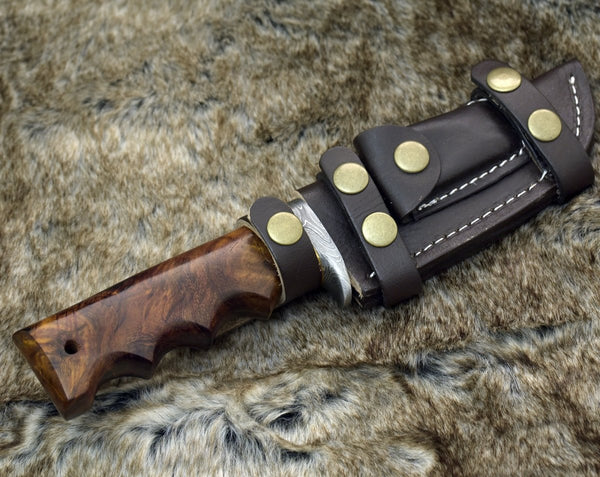 Vivid Damascus Hunting Knife with Exotic Rose Wood handle