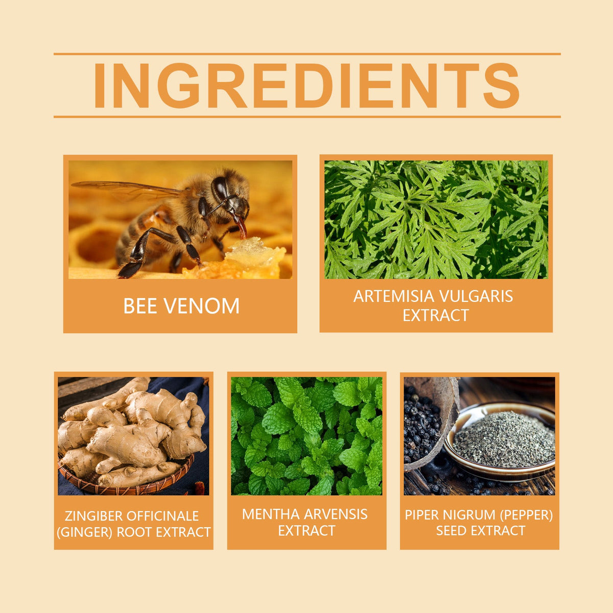 Ingredient panel for XIMONTHS Bee Venom Body Firming Cream for Massage Care, showing bee venom, mugwort, ginger, field mint and black pepper