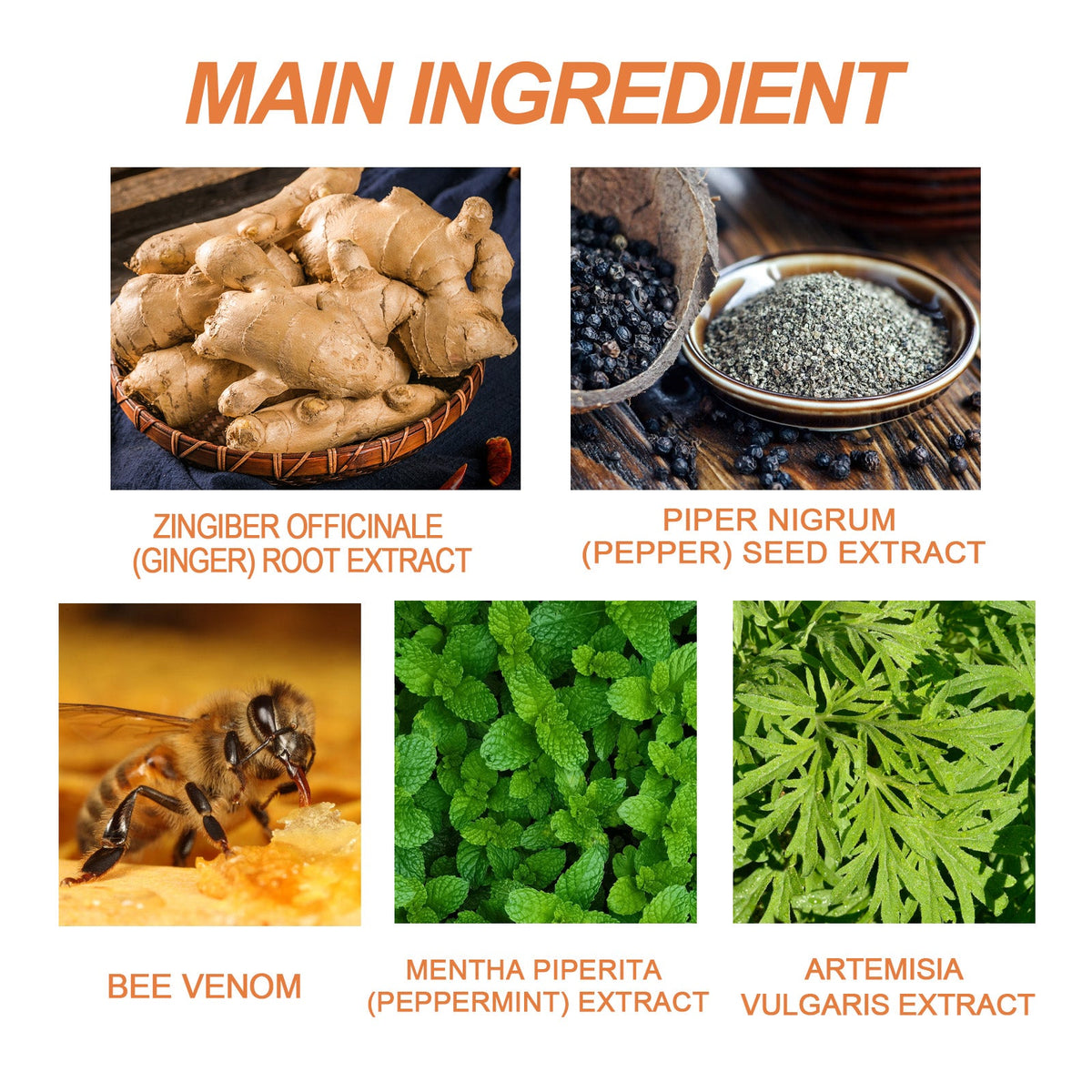 Bee venom body patch packaging