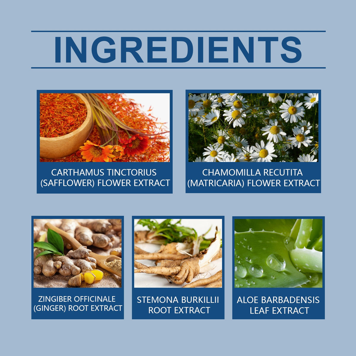 Ingredient panel for XIMONTHS Wart Care Patch for Targeted Skin Care, showing safflower, chamomile, ginger, Stemona and aloe