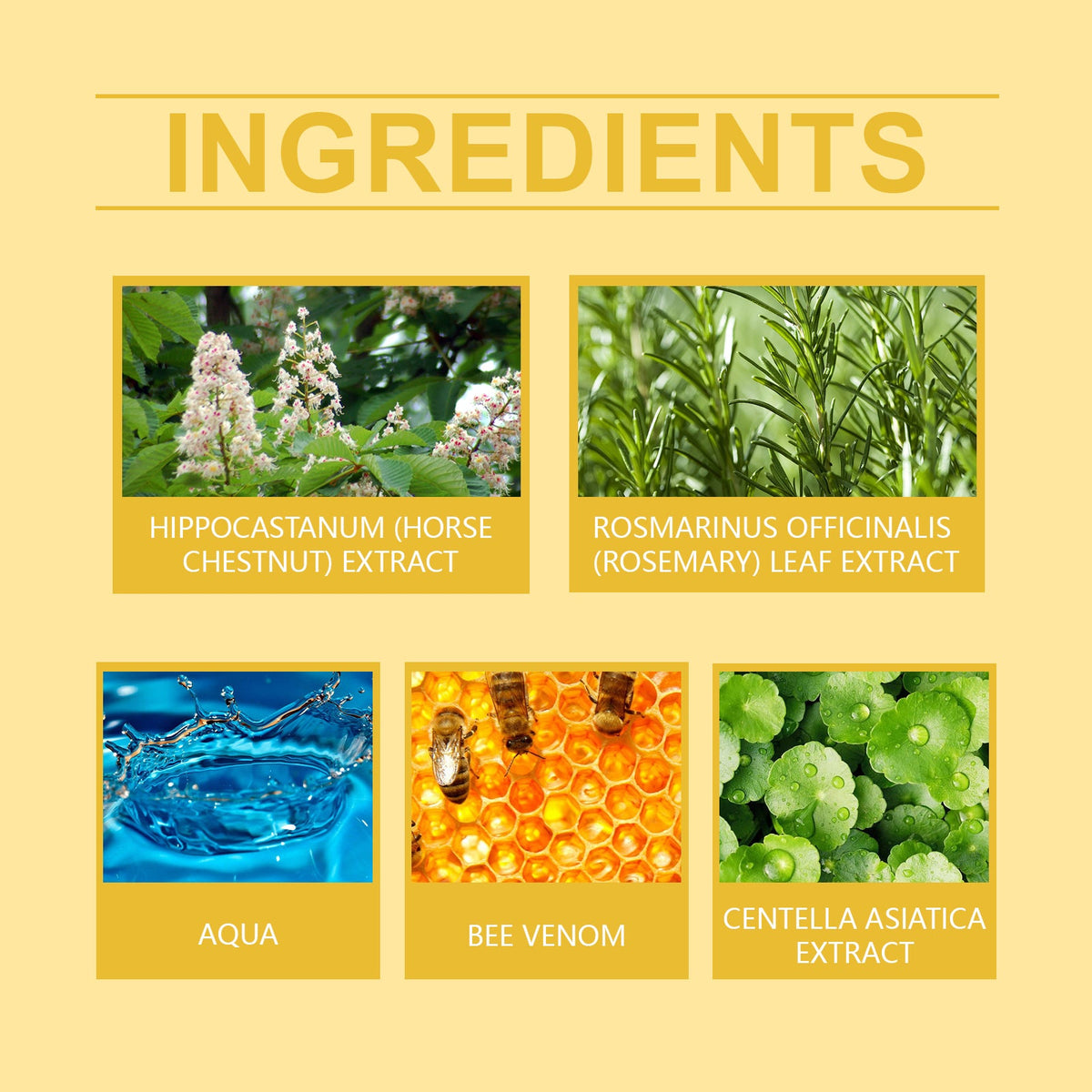 Ingredient panel for XIMONTHS Bee Venom Leg Care Cream for Dry, Tired Legs, showing horse chestnut, rosemary, bee venom and Centella