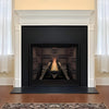 White Mountain Hearth (Empire) Tahoe 36-Inch Clean Face Direct Vent Natural Gas Traditional Premium Fireplace [DVCP36BP30N/70N] (SAK26519)