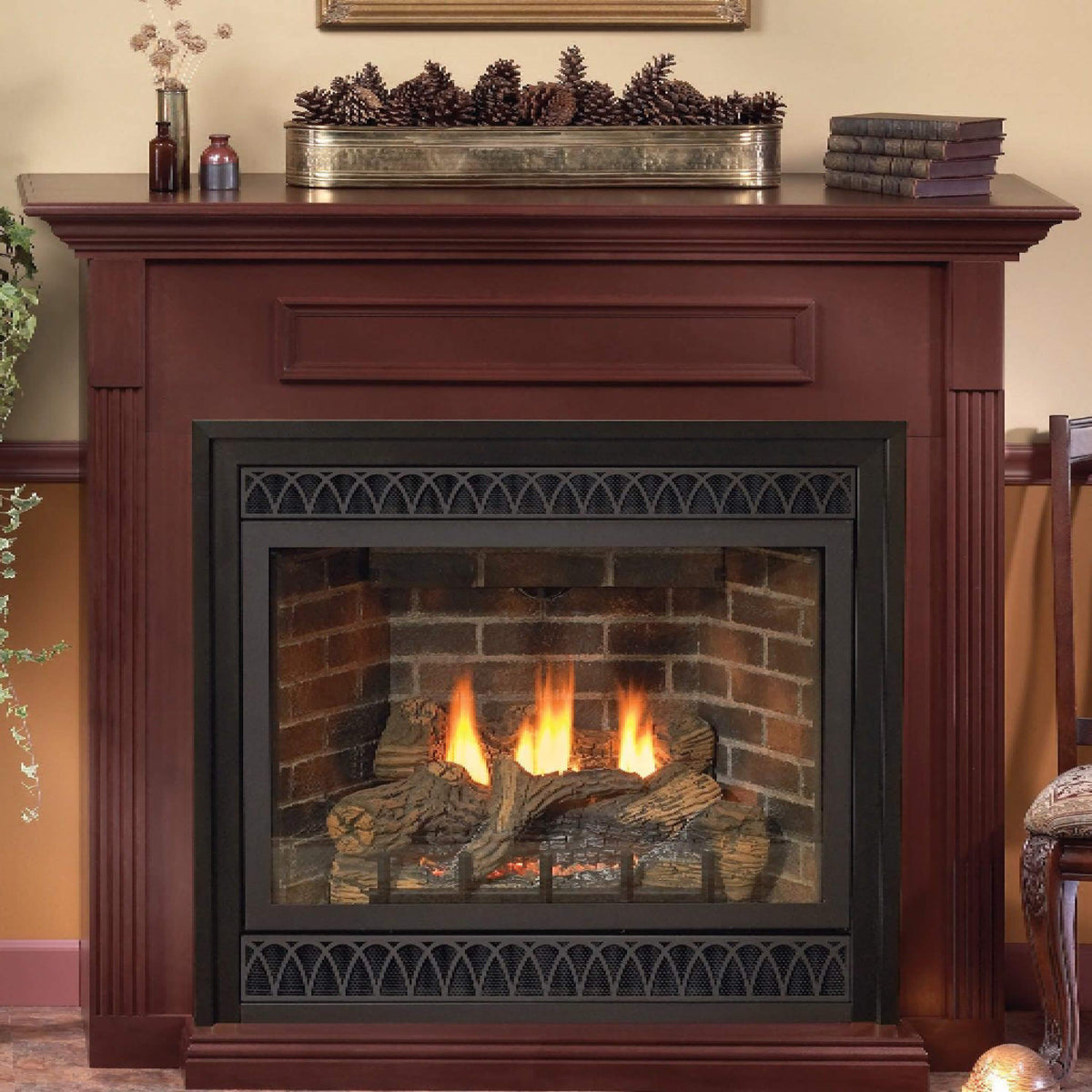 White Mountain Hearth (Empire) Tahoe 36-Inch Propane Gas Direct Vent Deluxe Fireplace [DVD36FP] (SAK67105)
