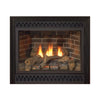 White Mountain Hearth (Empire) Tahoe 36-Inch Propane Gas Direct Vent Deluxe Fireplace [DVD36FP] (SAK67105)
