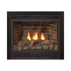 White Mountain Hearth (Empire) Tahoe 42-Inch Natural Gas Direct Vent Deluxe Fireplace [DVD42FP] (SAK56218)