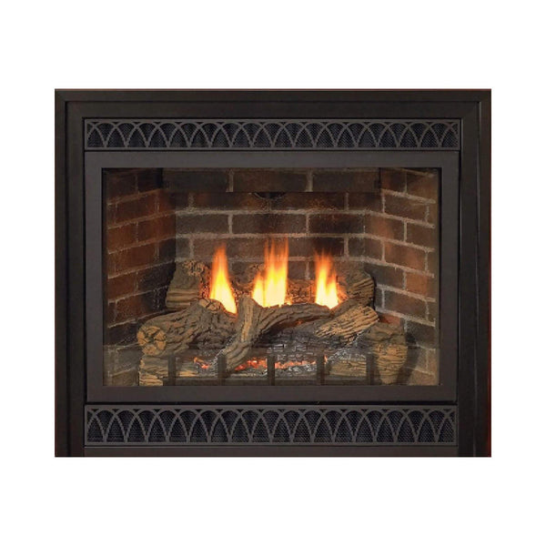 White Mountain Hearth (Empire) Tahoe 48-Inch Intermittent Pilot Propane Gas Direct Vent Deluxe Fireplace W/ On/Off Switch [DVD48FP70P] (SAK40376)