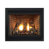 White Mountain Hearth (Empire) Tahoe 48-Inch Propane Gas Direct Vent Premium Fireplace W/ Multi Function Control [DVP48FP91P] (SAK19347)