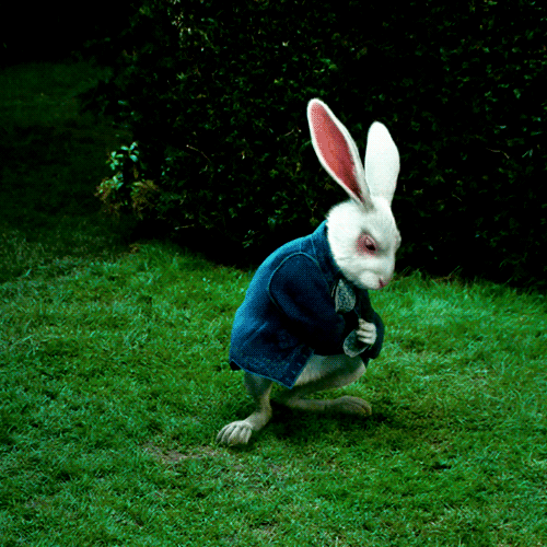 White Rabbit
