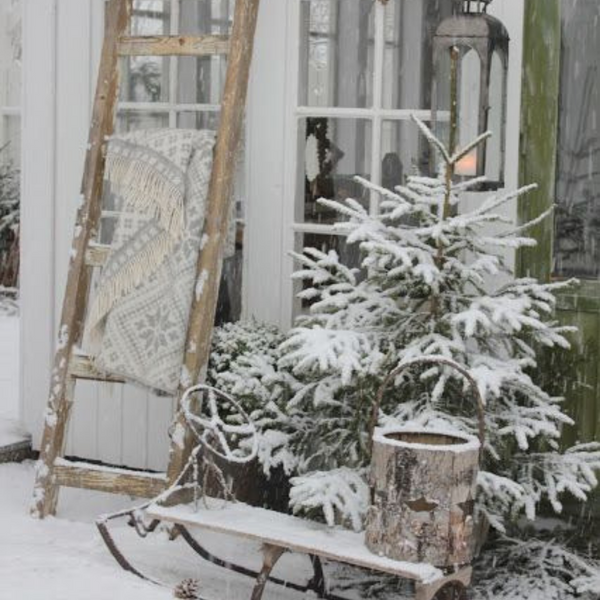 Winter