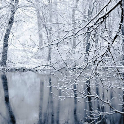 Winter Wonderland