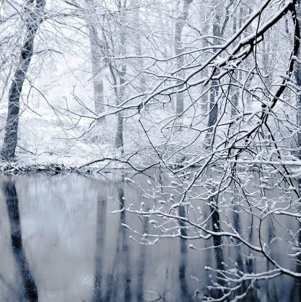 Winter Wonderland