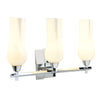 Fleur 25.25'' Wide 3-Light Vanity Light - Chrome
